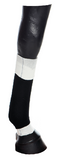 EquiFlex Blue Line (lower leg)