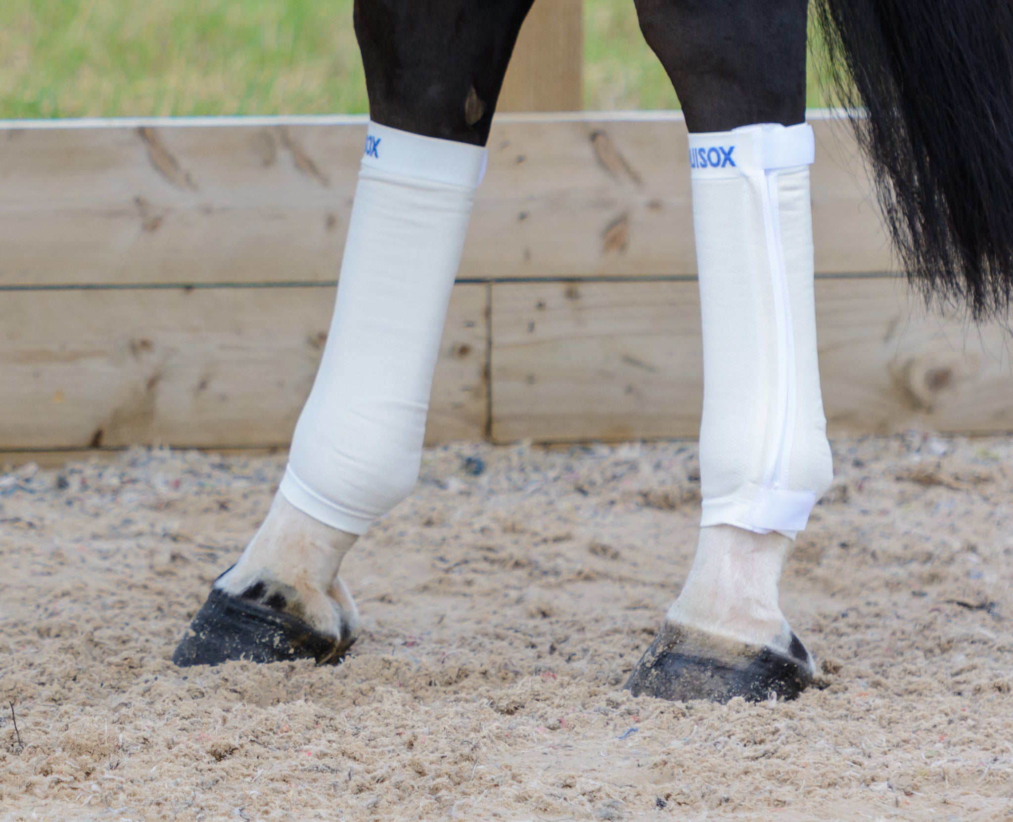 Tan Compression Socks — horse on the loo s e